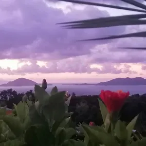 Le Bananier Rouge , Trois-Rivières Guadeloupe